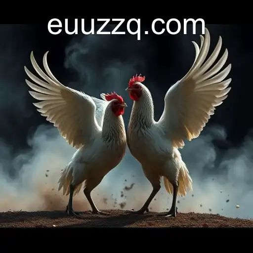 O Complexo Mundo das Rinhas de Galos